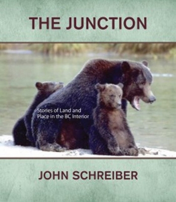 Book cover for The Junction