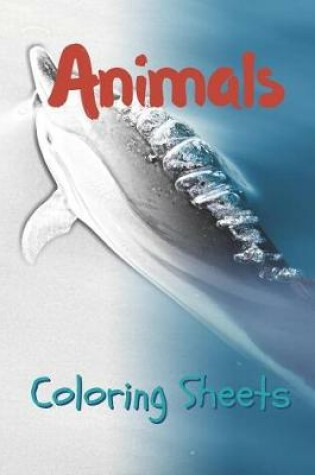 Cover of Animals Coloring Sheets