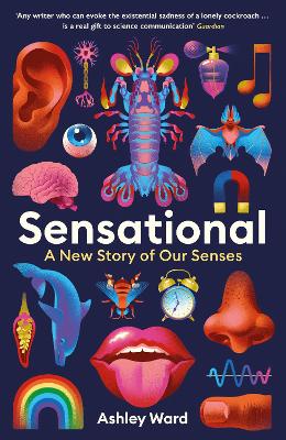 Book cover for Sensational