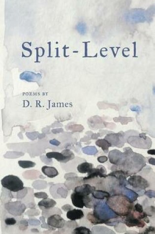 Cover of Split-Level