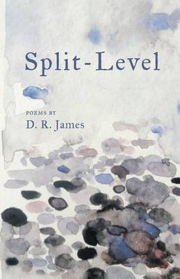 Book cover for Split-Level