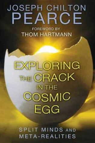 Cover of Exploring the Crack in the Cosmic Egg