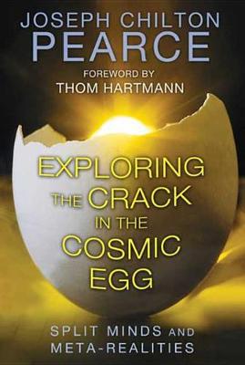 Book cover for Exploring the Crack in the Cosmic Egg