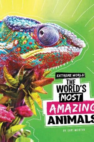 Cover of The World's Most Amazing Animals