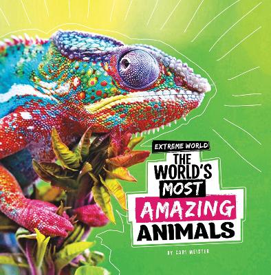 Cover of The World's Most Amazing Animals