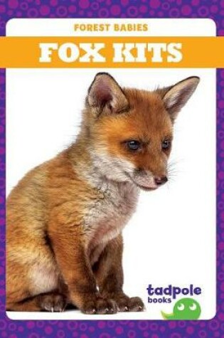 Cover of Fox Kits