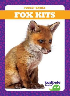 Book cover for Fox Kits
