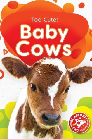 Cover of Baby Cows