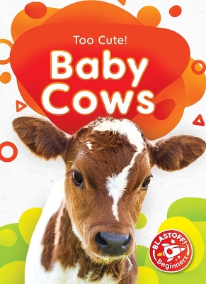 Cover of Baby Cows