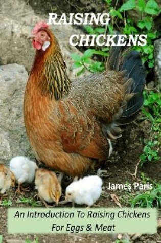 Cover of Raising Chickens - An Introduction To Raising Chickens For Eggs & Meat