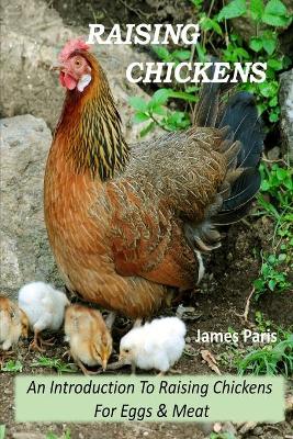 Book cover for Raising Chickens - An Introduction To Raising Chickens For Eggs & Meat