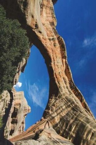 Cover of Cool Natural Bridge in Utah Sipapu Bridge Journal