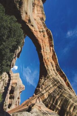 Book cover for Cool Natural Bridge in Utah Sipapu Bridge Journal