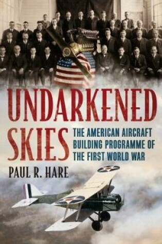 Cover of Undarkened Skies