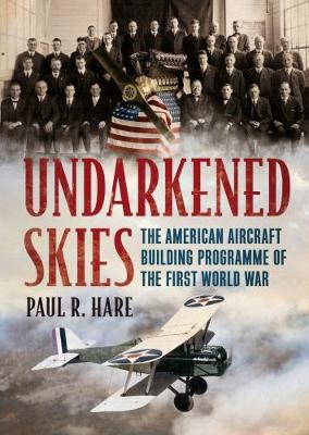 Book cover for Undarkened Skies