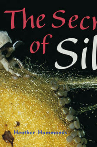 Cover of The Secret of Silk