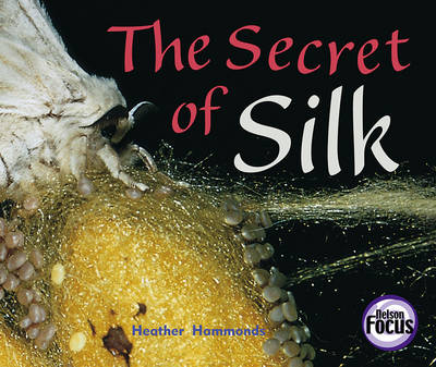 Book cover for The Secret of Silk