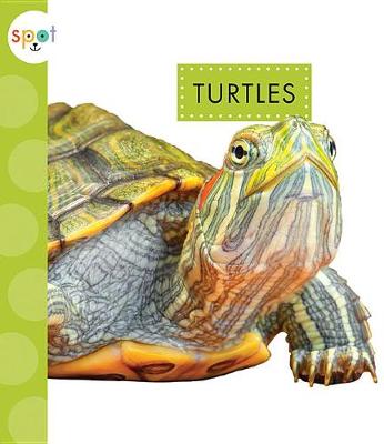 Book cover for Turtles