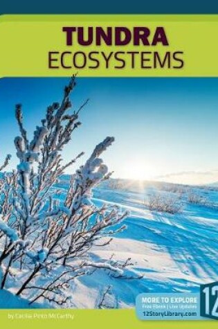 Cover of Tundra Ecosystems