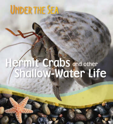 Book cover for Hermit Crabs and Other Shallow-water Life