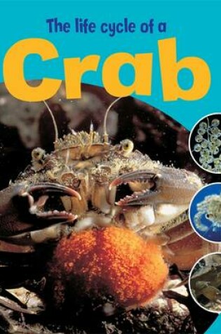 Cover of Learning About Life Cycles: The Life Cycle of a Crab