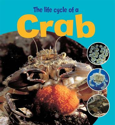 Book cover for Learning About Life Cycles: The Life Cycle of a Crab