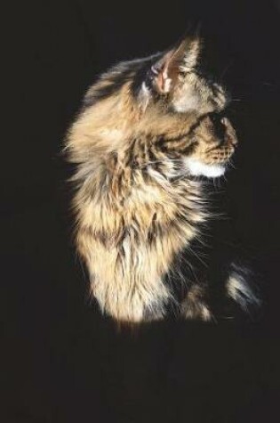 Cover of Profile Portrait of a Beautiful Maine Coon Cat Journal