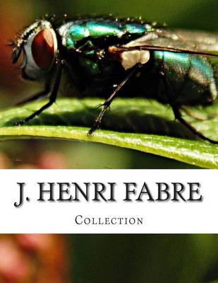 Book cover for J. Henri Fabre, Collection