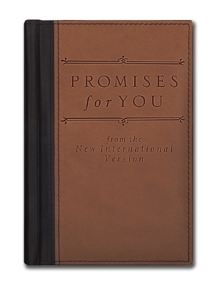Book cover for Promises for You Deluxe
