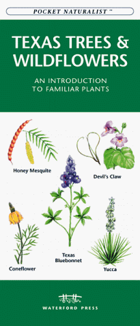 Cover of Texas Trees and Wildflowers