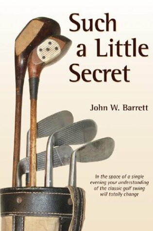 Cover of Such a Little Secret