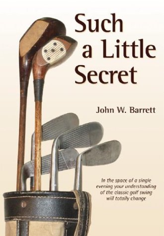 Book cover for Such a Little Secret