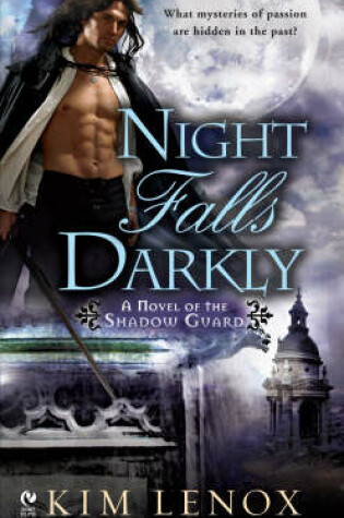 Cover of Night Falls Darkly
