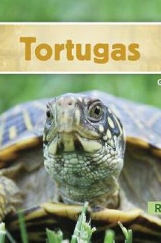 Cover of Tortugas