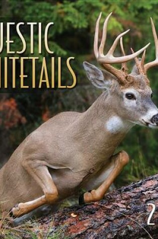 Cover of Majestic Whitetails 2012