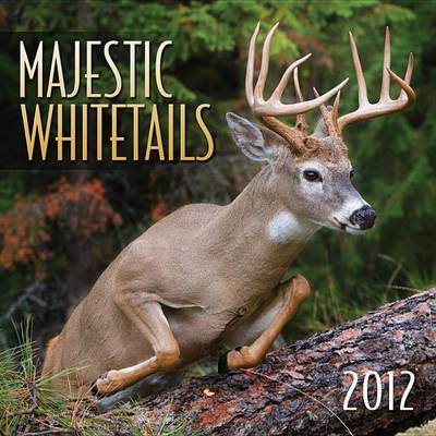 Book cover for Majestic Whitetails 2012