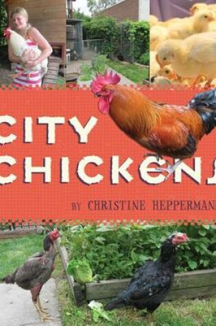 Cover of City Chickens