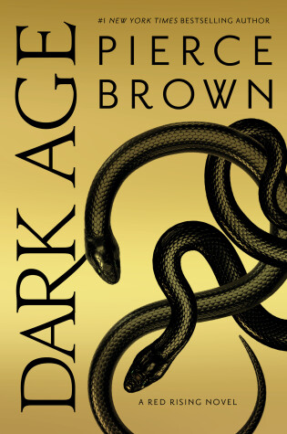 Cover of Dark Age