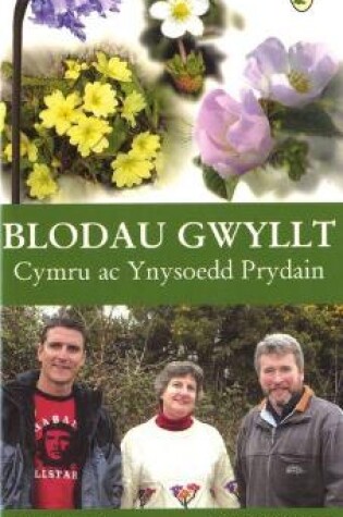 Cover of Blodau Gwyllt Cymru ac Ynysoedd Prydain