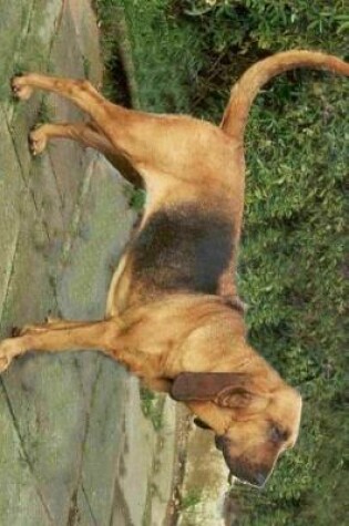 Cover of Black and Tan Saddle Type Bloodhound Dog Journal