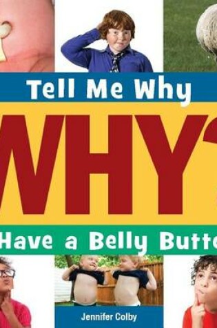 Cover of I Have a Bellybutton
