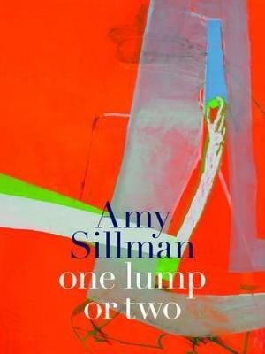 Book cover for Amy Sillman