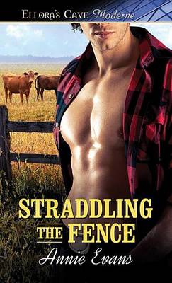 Book cover for Straddling the Fence