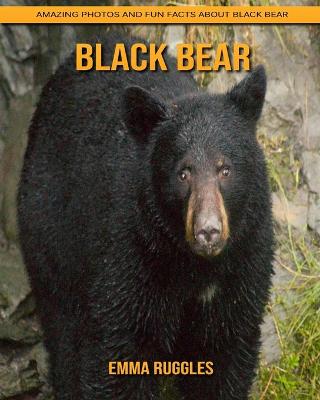 Book cover for Black Bear