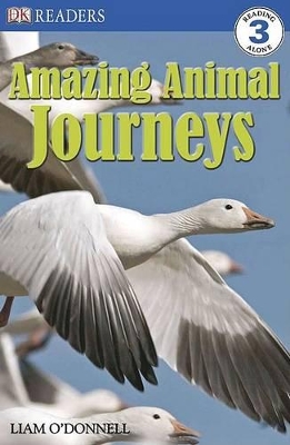 Cover of Amazing Animal Journeys