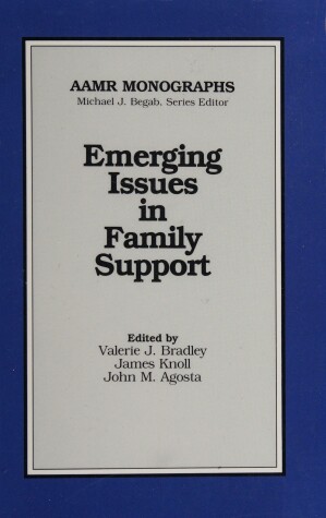 Book cover for Emerging Issues in Family Support