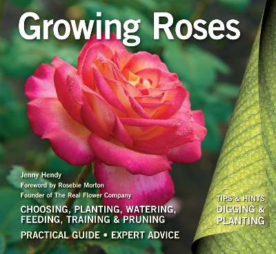 Book cover for Growing Roses