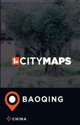 Book cover for City Maps Baoqing China