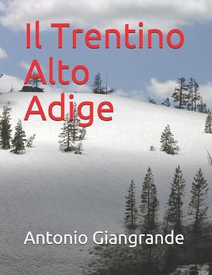 Book cover for Il Trentino Alto Adige