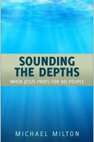 Cover of Sounding the Depths